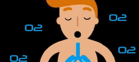 Oxygen- Friend or Foe?
